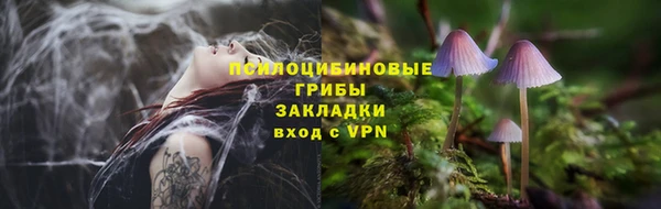 винт Верхний Тагил