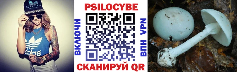 Купить  Кимовск  Галлюциногенные грибы мицелий 